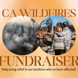 Within Your Gates fundraiser & resources for CA wildfires