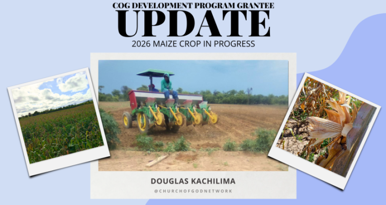 COG Development Program Update: Douglas Kachilima’s Maize Project Shows Strong Progress