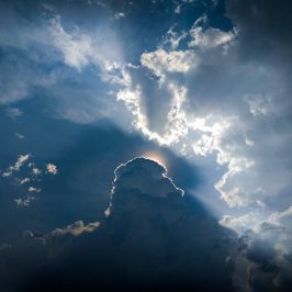 Work of the Brethren – The Silver Linings of 2020